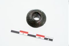 Foto von Bronzeringperle (NHMW-PRAE-025144)